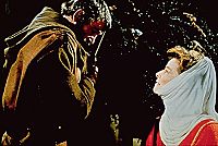 Der Löwe im Winter [DVD], 5