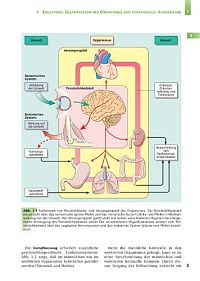 Handbuch Anatomie - Bau und Funktion des menschlichen Körpers, 1