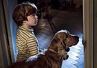 Boule & Bill [Blu-ray], 3