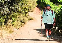 Ich bin dann mal weg [DVD], 5