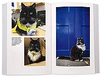 Felix - Die Bahnhofskatze, 4