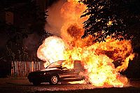 Salamander - Staffel 1 & 2 [DVD], 2