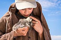 Der Junge und die Wildgänse [DVD], 2