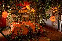 Paranormal Vitality [DVD], 7