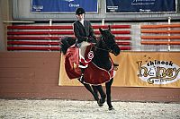 Heartland - Paradies für Pferde - Staffel 1 [DVD], 6