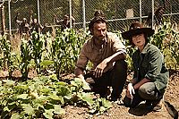 The Walking Dead - Staffel 4 [DVD], 6