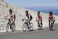 Affenkönig [DVD], 5