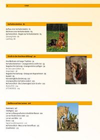 Hundeschule: Motivieren, erfolgreich erziehen, Verhalten formen mit dem Clicker, 3