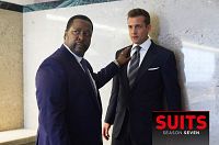 Suits - Staffel 7 [DVD], 7