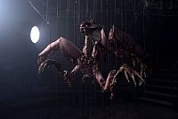 Anamorph - Die Kunst zu töten [Blu-ray], 6