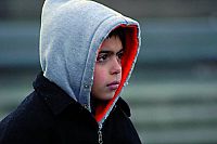 Der Weihnachtswunsch [DVD], 2