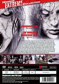 Paranormal Haunting at Silver Falls [DVD], 2