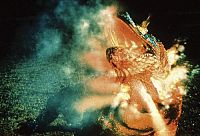 Komodo - The Living Terror [DVD], 5