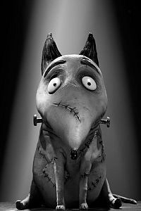 Frankenweenie [Blu-ray], 4