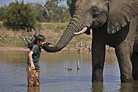 Kleine Helden, grosse Wildnis 2 - Abenteuer Serengeti [DVD], 4