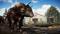 Far Cry 5 [Microsoft Xbox 360], 6