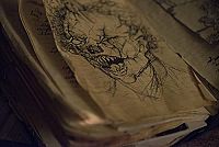 Clown [DVD], 4