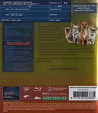 Le chihuahua de beverly hills [Blu-ray], 2