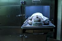 Laid to Rest [Blu-ray], 2