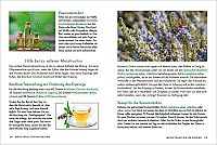 Kräuter und Heilpflanzen für Frauen, 1