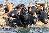 Patagonien - Von Camarones bis Darwins Rock [Blu-ray], 2