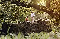 My first Lady [Blu-ray], 2