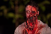 Cabin Fever 1-3 [DVD], 1