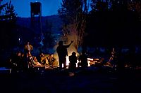 Wendy and Lucy [DVD], 3