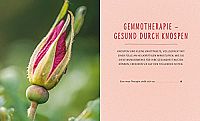 Gemmotherapie - Die neue Pflanzenmedizin, 6