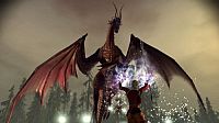 Dragon Age - Origins [Microsoft Xbox 360], 3