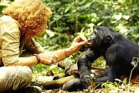 Benny - Allein im Wald [Blu-ray], 5