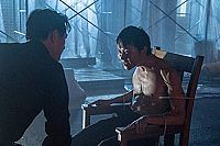 The Divine Fury [DVD], 2