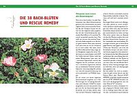 Massage - Muskel- und Gelenkprobleme erkennen und beheben, 3