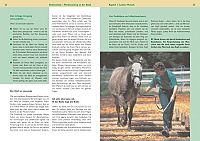 Bodenarbeit - Pferdetraining an der Hand, 5