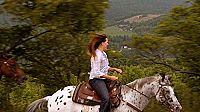 Happy Valley  [DVD], 4