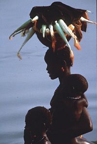 Nil - Fluss der Götter [DVD], 4