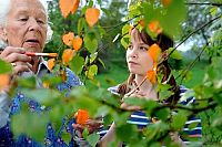 Ein Tick anders [DVD], 6