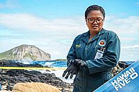 Hawaii Five-0 - Staffel 9 [DVD], 3