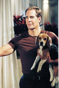 Star Trek - Enterprise - Staffel 3 [DVD], 3