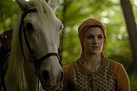 Robin Hood - Staffel 1.2 [DVD], 4