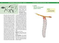 Massage - Muskel- und Gelenkprobleme erkennen und beheben, 5