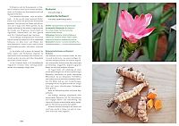 Phytotherapie in Theorie und Praxis, 7