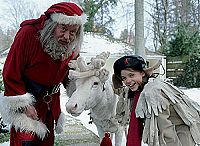 Die schönsten Weihnachtsfilme für die ganze Familie [DVD], 2
