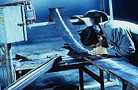 Dead or Alive [Blu-ray], 6