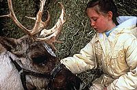 Jessica und das Rentier [DVD], 2