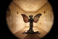 Errors of the Human Body [DVD], 5