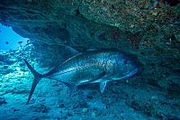 Weltnaturerbe Hawaii - Hawaii Vulkan-Nationalpark [Blu-ray 3D], 5