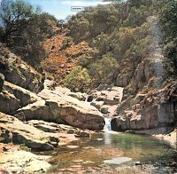 Argentina Canta Asì [Vinyl], 1