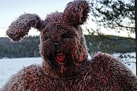 Bunny und sein Killerding [Blu-ray], 2