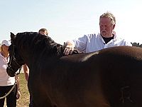 Tamme Hanken - Der Knochenbrecher on Tour, Folgen 1 - 5 [DVD], 3